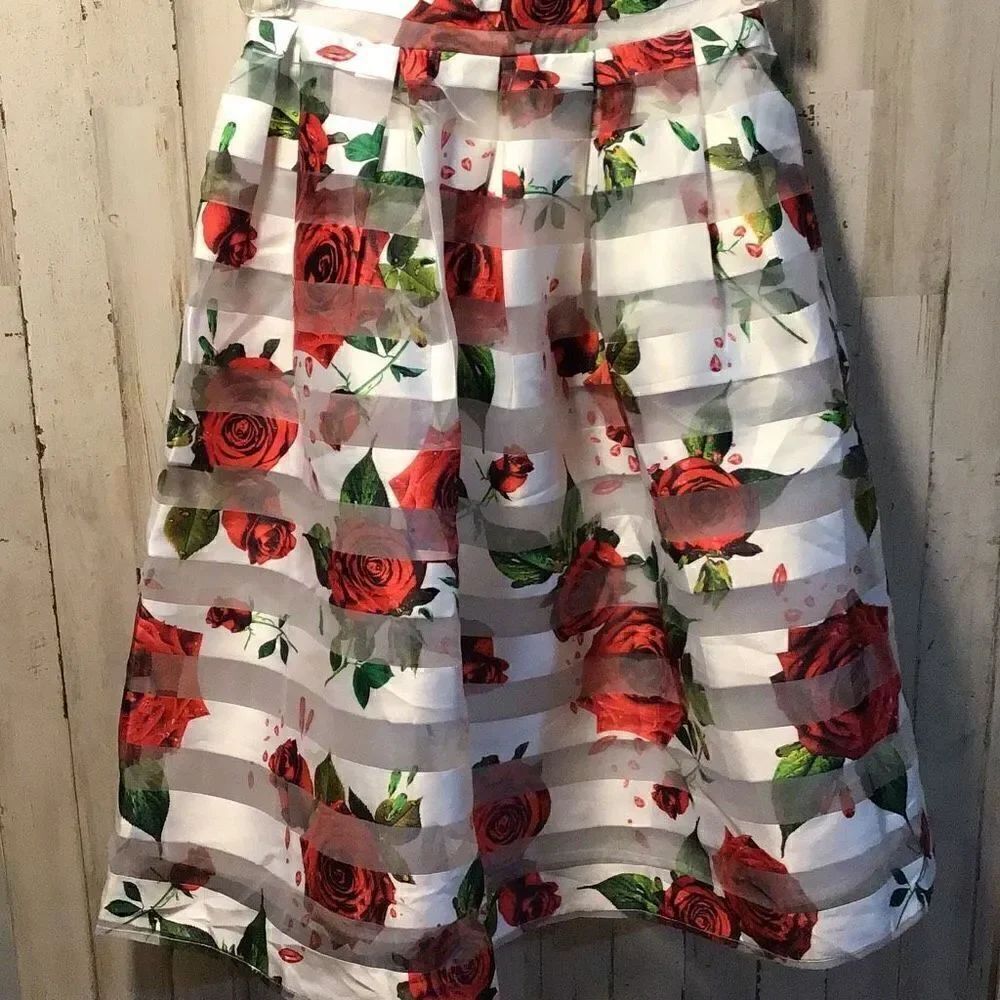 Skirt beautiful sheer rose and tulle skirt by BLVD size small